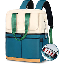 laptop backpack for women